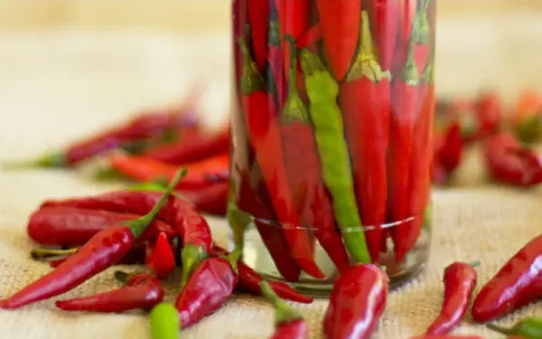 How to keep chilli