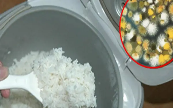 No one would dare eat cold rice again