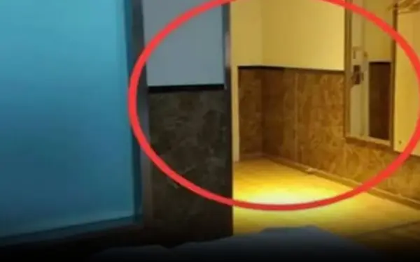 Why do wise people leave the bathroom light on overnight if they stay in a hotel?