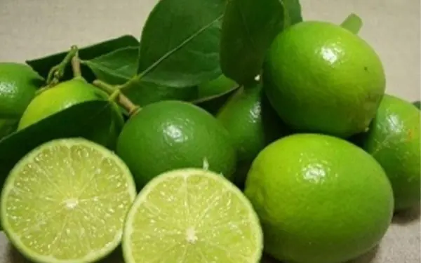 How to keep lemons fresh all year without bitterness or spoilage