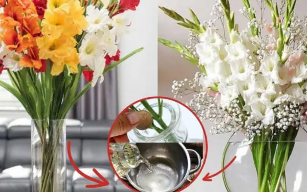 Add a few drops of this water to the flower vase