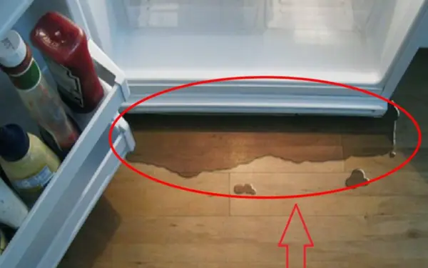 Refrigerator leaks water, slows down cooling