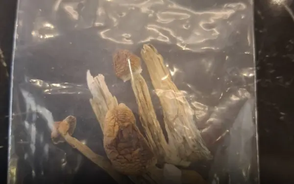 Dies After Consuming Magic Mushrooms