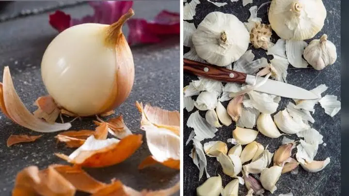 Tại sao không nên vứt vỏ hành, vỏ tỏi? Thực tế vỏ hành và vỏ tỏi có thể được tận dụng hiệu quả theo nhiều cácht. (Ảnh: Times of India)