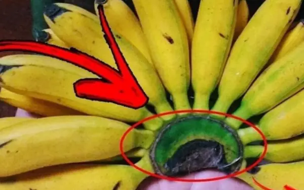 Don't throw away this part of the banana