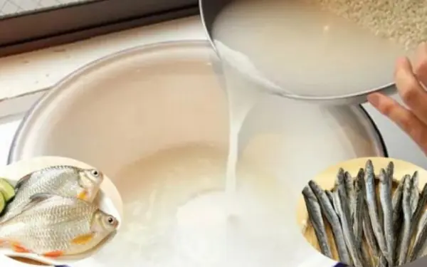Pocket 5 tips for cooking fish without fishy smell, delicious and irresistible