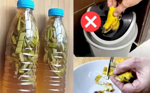 If you use them like this you will never throw them away again