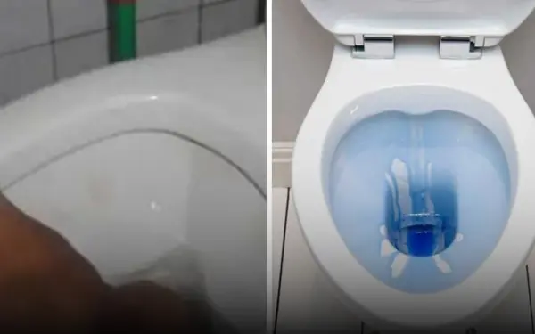 The 'Hidden Switch' in the Toilet Bowl