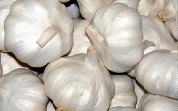 8 people who are forbidden to eat garlic