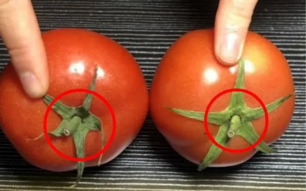 When buying tomatoes, should you choose "pointed" or "round" ones