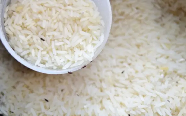 Simple Tips to Store Rice and Keep Bugs Away