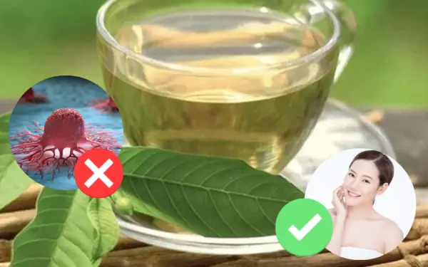 A leaf juice is known as the "elixir of life"