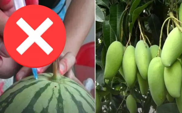 90% of the following 12 fruits are soaked in p.o.i.s.o.n