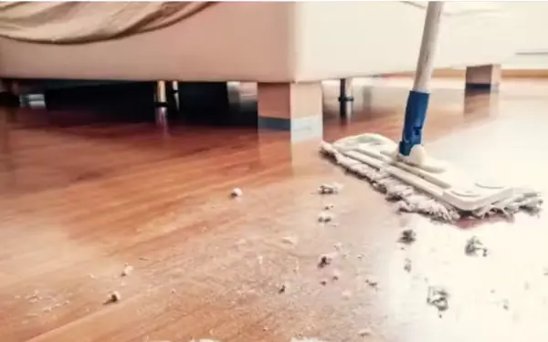 Spotlessly clean from dust