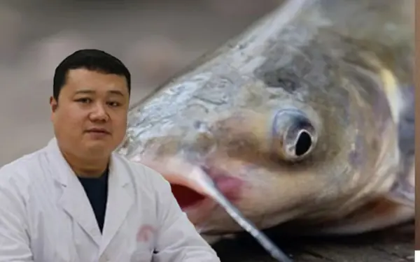 6 types of fish, don't buy them for your husband