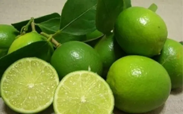 Don’t Put Lemons in the Fridge Right Away