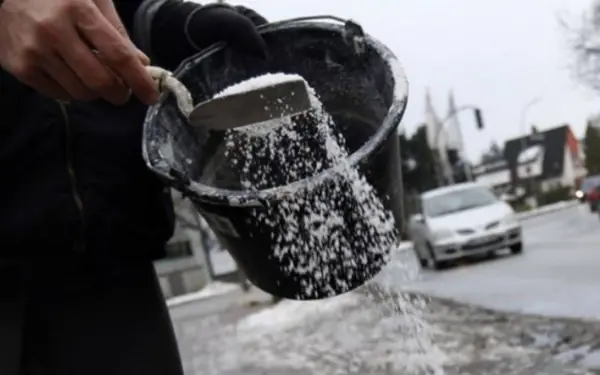 Sprinkling Salt in the Garden Brings Surprising Benefits ???
