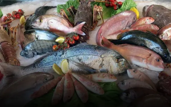 5 types of fish high in mercury