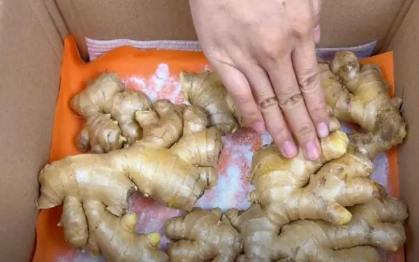 Do this to keep it fresh for a long time.