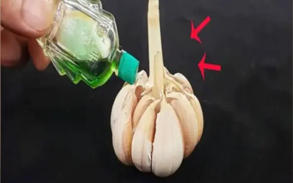 Put a few drops of essential oil on garlic