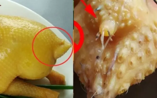 Veel mensen eten deze 4 delen kip nog steeds graag ???