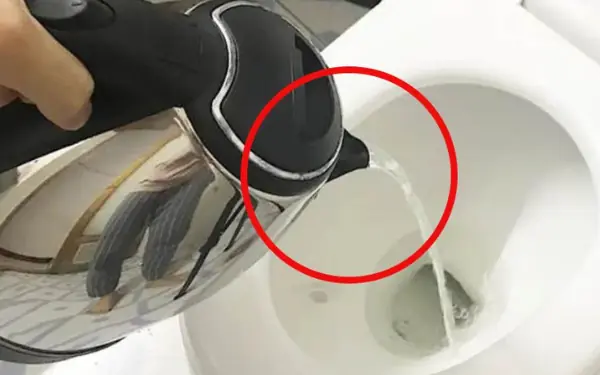 Check into a hotel and boil water and pour it into the toilet immediately