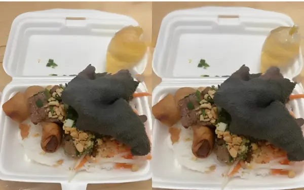 When you realize you don't want to eat anymore