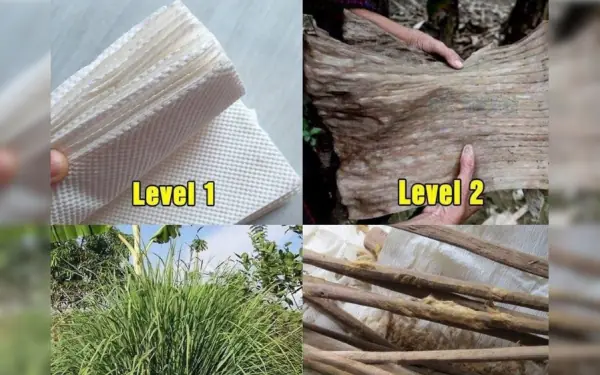 What level are you???