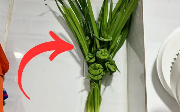 Simple trick to improve bathroom air: hang this bunch of leaves right away!