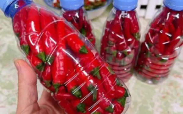 How to preserve chili peppers for several months, still fresh as if just picked, plump flesh without drying out, without losing flavor