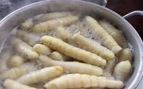For those who don't know what this is??