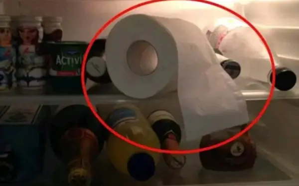 My wife keeps toilet paper rolls in the fridge
