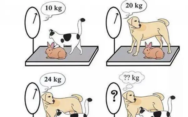 Here's the answer for those who haven't been able to solve it or figure out the weight of negative numbers?