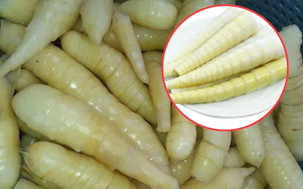 95% of people can't tell the difference between these two bulbs