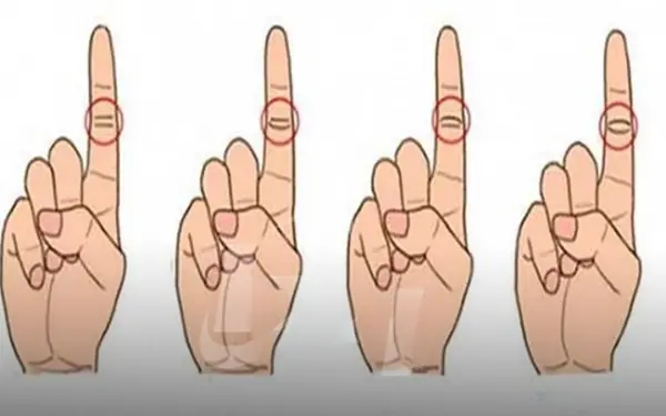 Look and guess your future