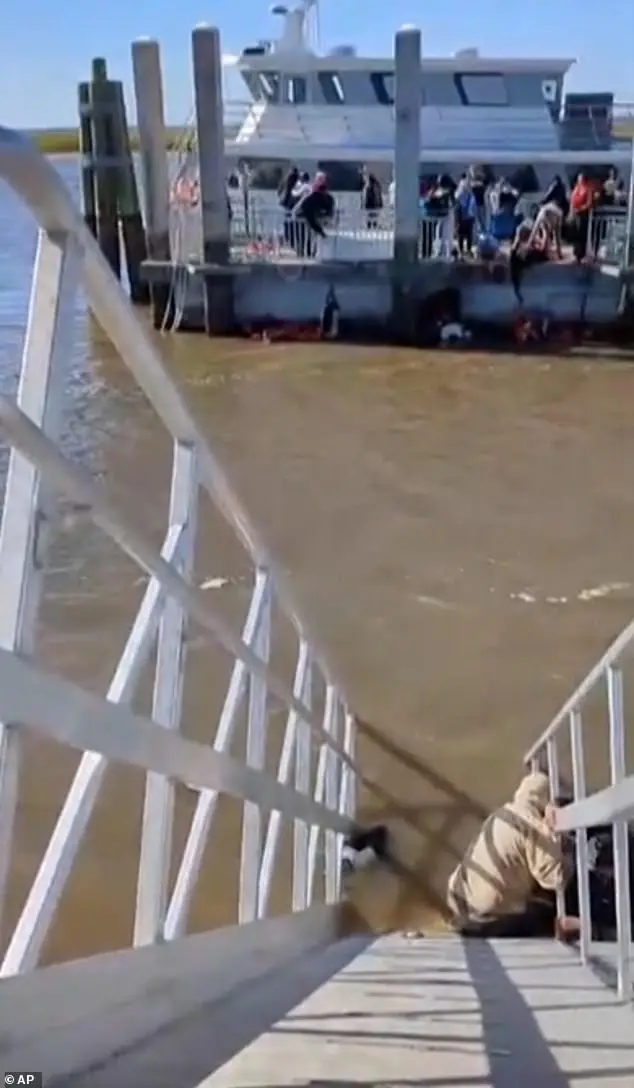 Frantic scenes showed people hopping in to help those stranded in the water. Seven people died in the tragedy
