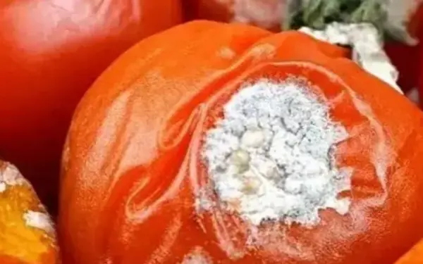 Don't rush to throw it away without knowing these useful uses