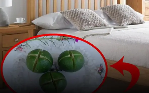 4 things that should be placed under the bed