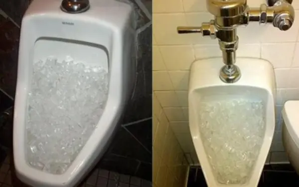 Why do restaurants and hotels often put ice in their toilets?