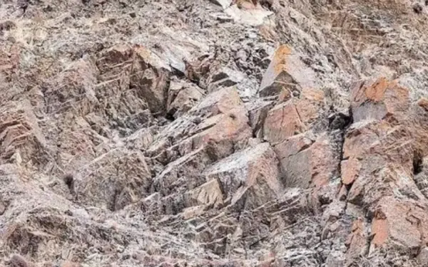 The photo makes viewers dizzy and unable to find the snow leopard