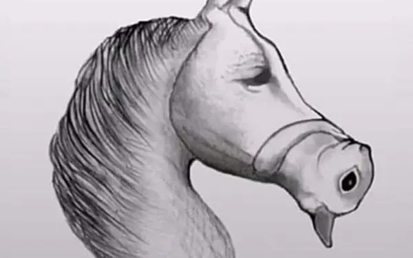 Only people with high IQ can see the other animal in the picture