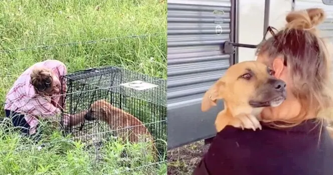 Dog rescuer wins trust of abandoned puppy — look of love shows she's finally home