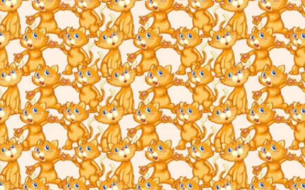 In 10 seconds, can you figure out which area the cat is closing its mouth in?