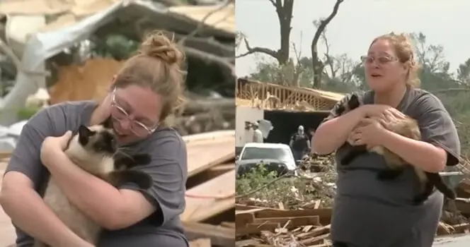 Woman thought her cat was gone after tornado destroyed home — miraculous reunion caught on camera