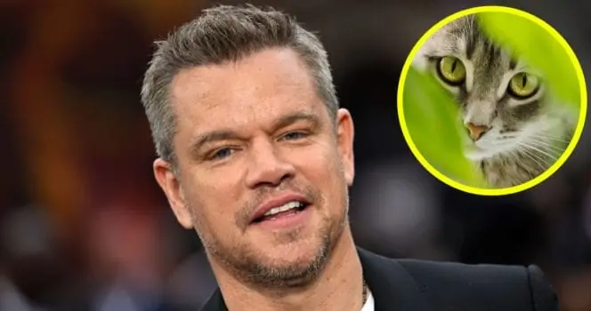 Matt Damon shares remarkable story about cat he rescued from Costa Rican jungle: "He's like Arnold Schwarzenegger"