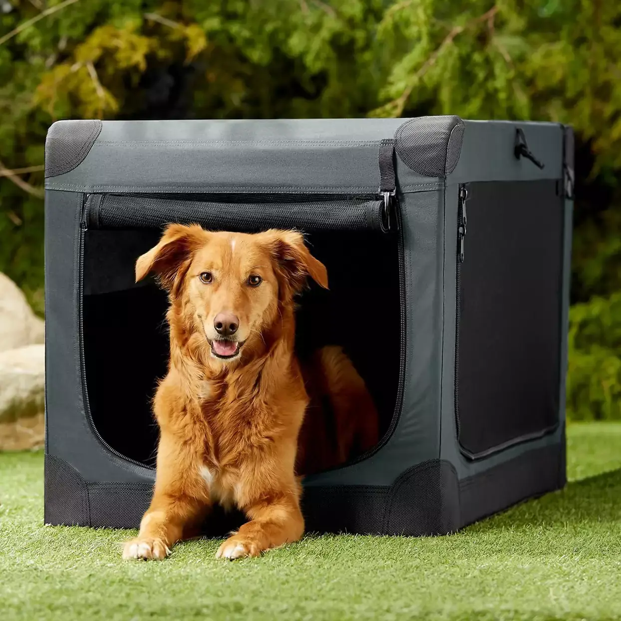 Perfect Fit: Choosing the Right Crate Size for Your Dog