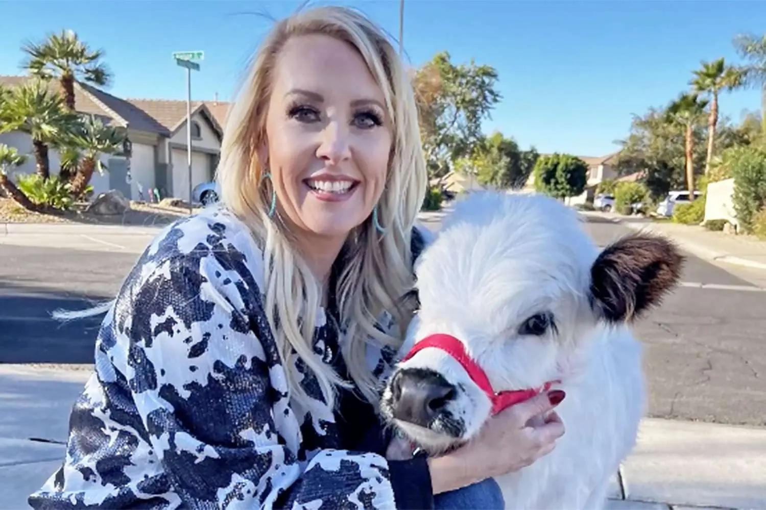 Watch How This Adorable Cow is Changing Animal Therapy for Assisted Living  and Memory Care Patients