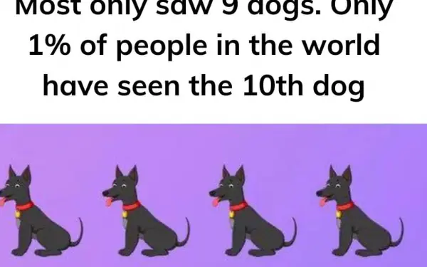 The 11th dog is here ?: