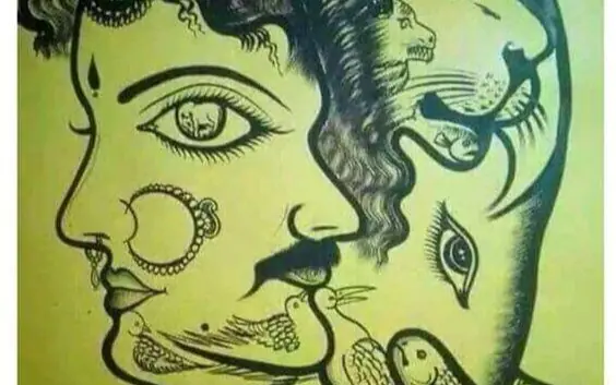 Do you see the rabbit in the picture?