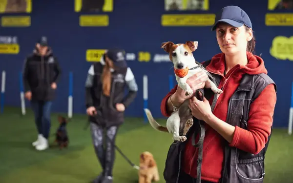 How to Find a Trainer or Behavior Expert With the Right Experience for Your Pet